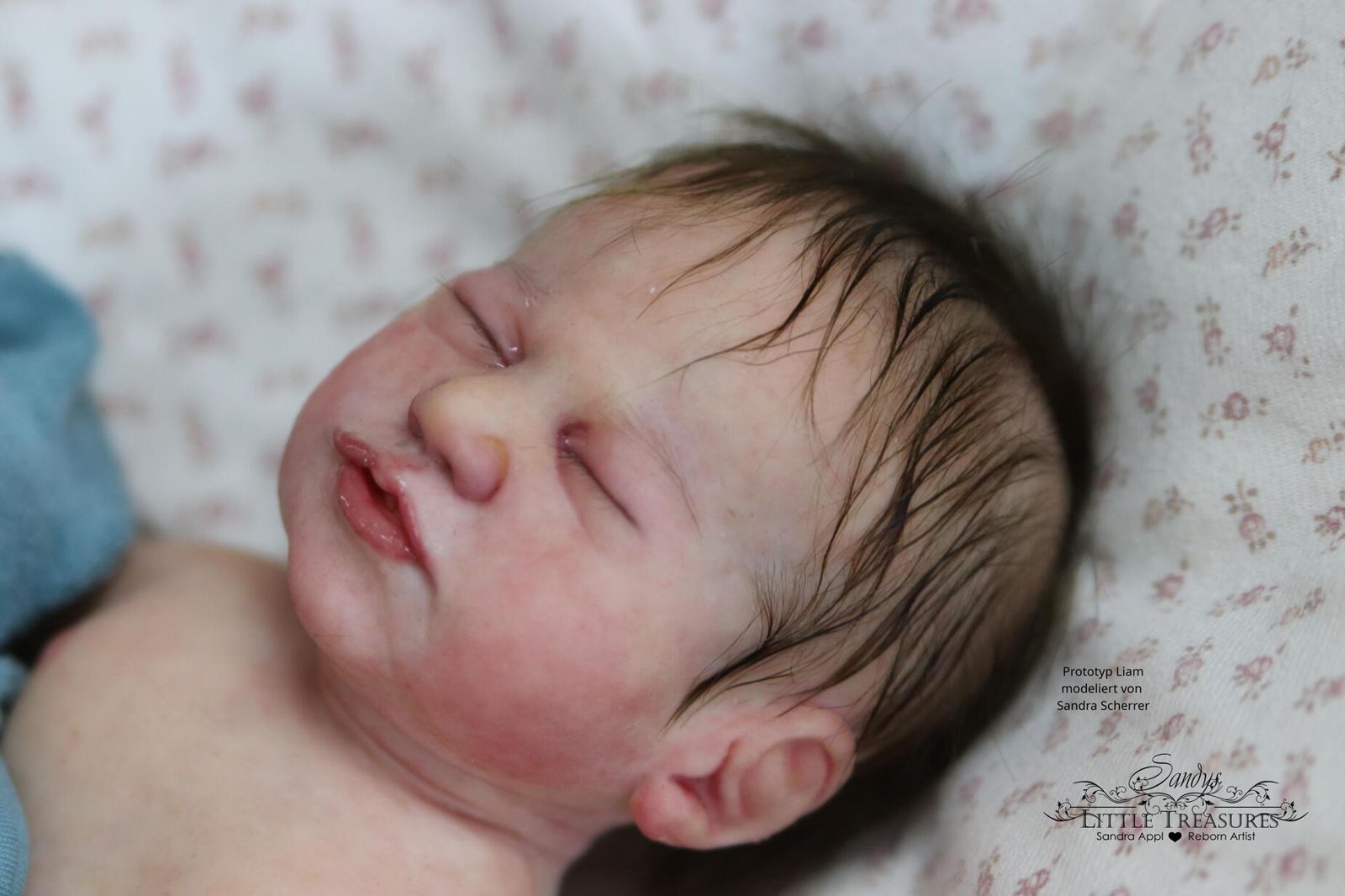 Vollsilikonpuppe Liam von Sandra Scherrer