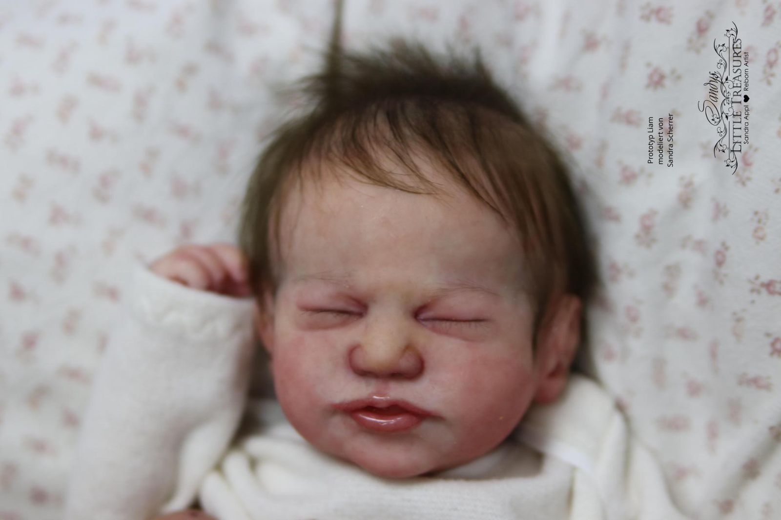 Vollsilikonpuppe Liam von Sandra Scherrer