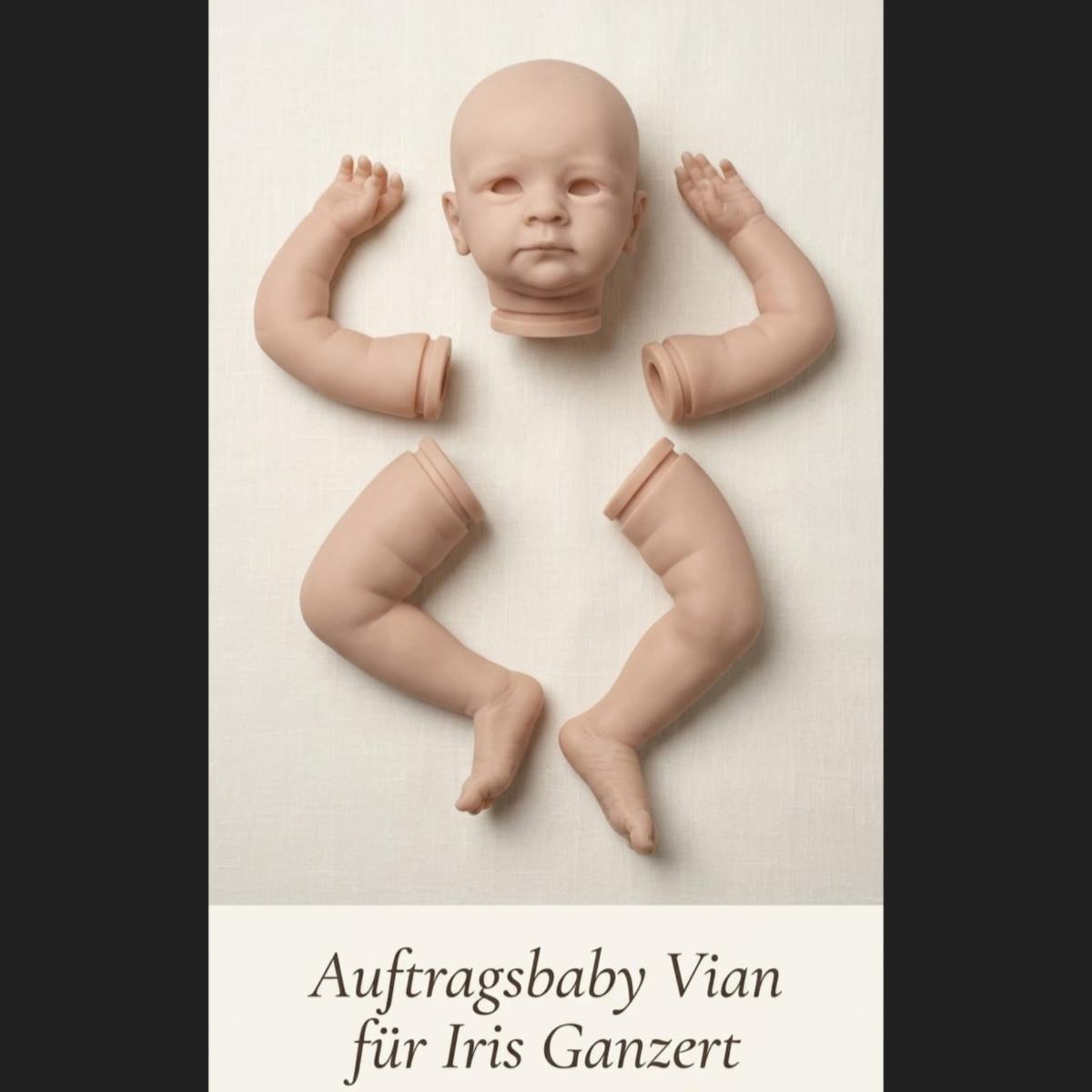 Auftragsbaby Vian gefärbt und mit Rooting für Iris Ganzert